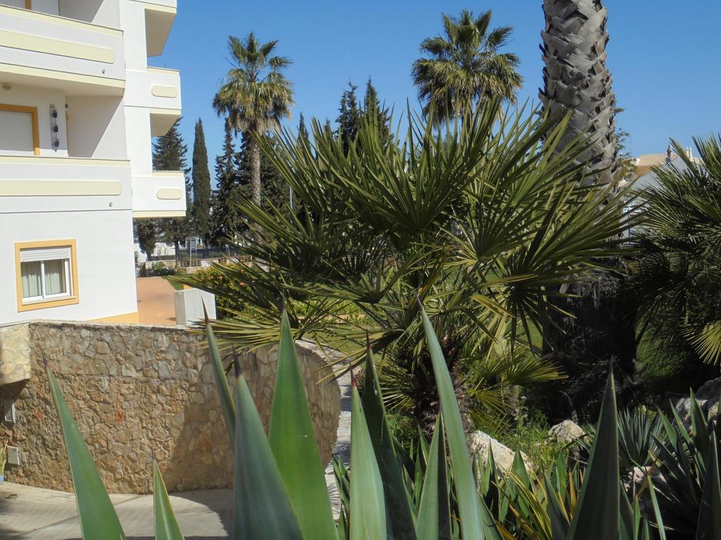 Jardim Paraiso *